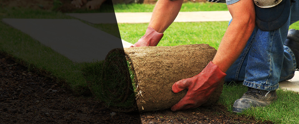 Corfu Landscapers